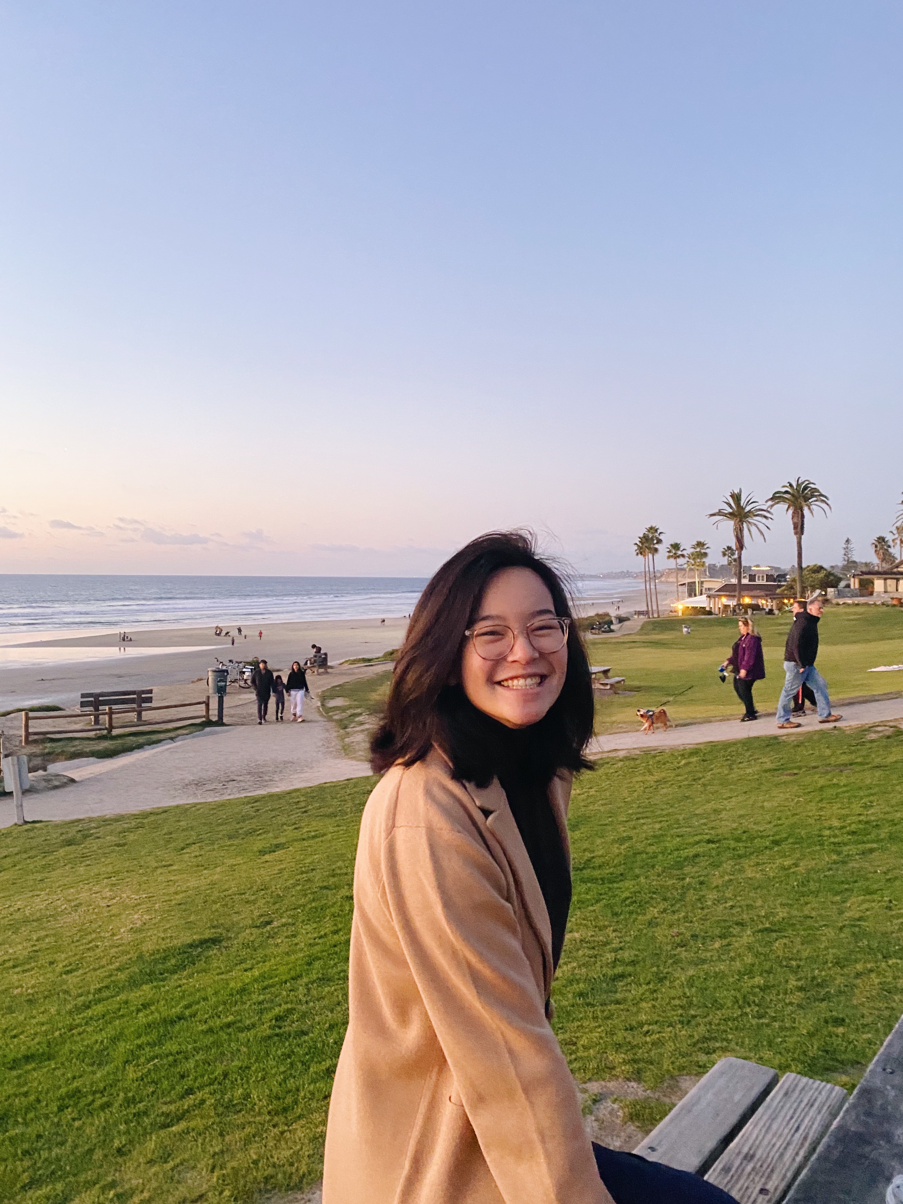Anmei Zhi 